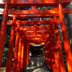 【簡単！初心者向け】お寺と神社の違いとは？②　参拝方法について