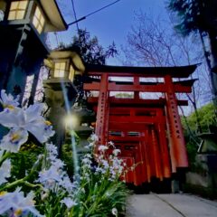 〈簡単解説〉とりあえず稲荷神社ってなに？